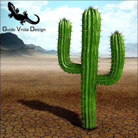 Saguaro cactus 3D Model