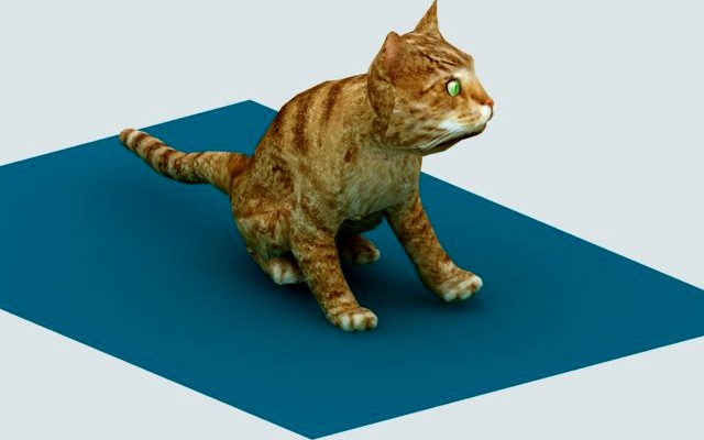 Cat animated rigged 3D Model