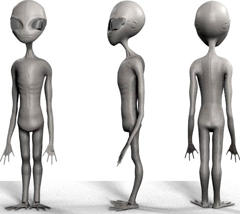 Grey Alien 3D Model