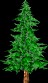 Toon Textured Pine Tree 3D Model