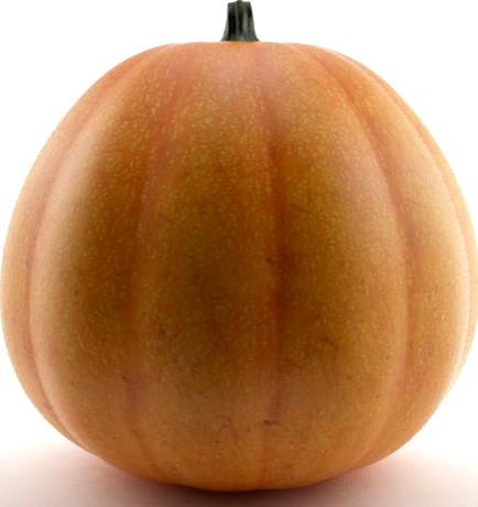 Pumpkin 3D Model