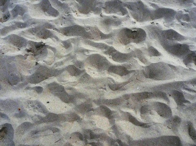 Texture Beach Sand collection 3D Model