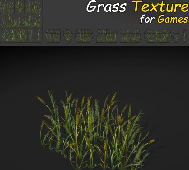 Plains Grass 3D Model