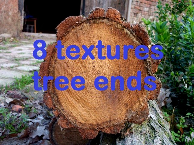 Tree ends 02  package with 8 textures 3D Model