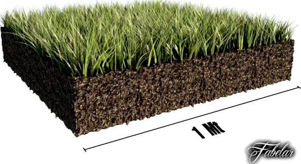 Grass patch 01 3D Model