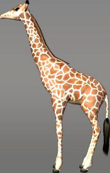 Giraffe 3D Model