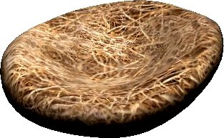 Download free 3D Cartoon Bird Nest 3D Model
