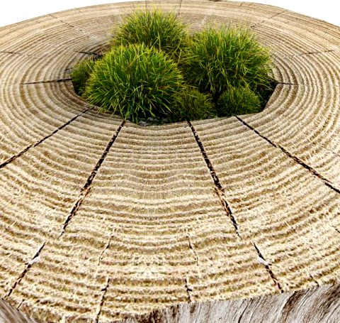 Decorative stump 3D Model