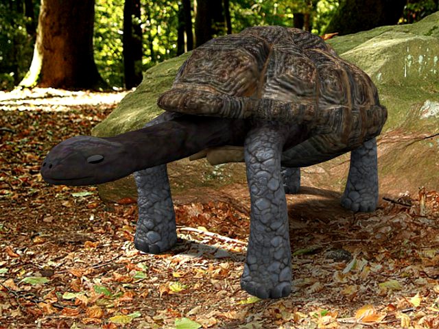 Giant Tortoise 3D Model