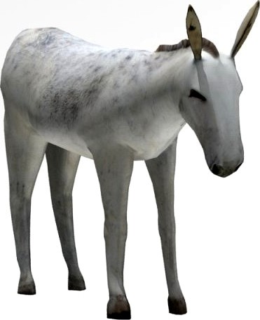 Donkey 3D Model