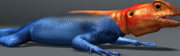 Rainbow Lizard 3D Model