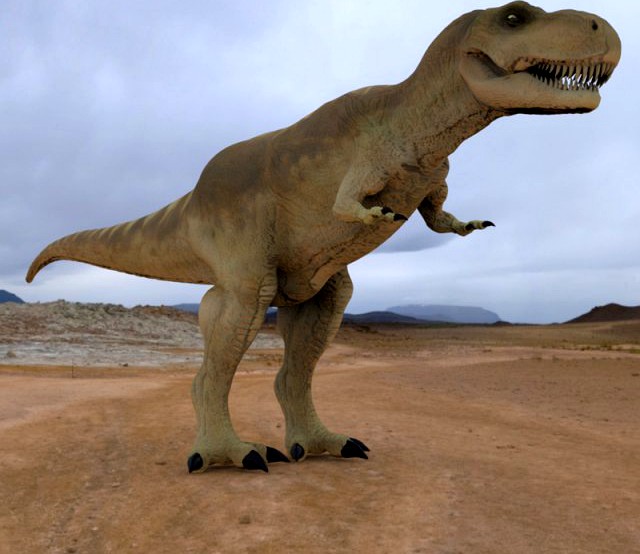 Tyrannosaurus Rex 3D Model