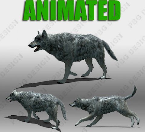 Grey Wolf Animated 3D Model