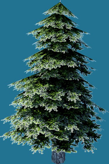 Low Poly Pine Tree Model