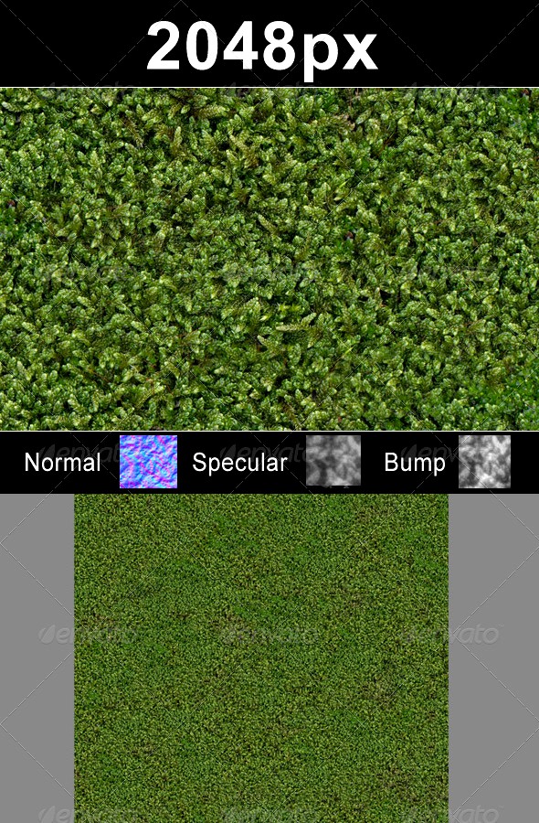Moss 01 - High Res Set
