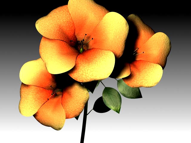 flower 3D Model