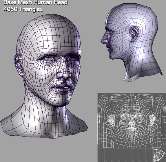 Base Mesh Human Head