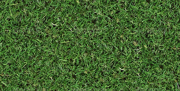 Autumn Tileable Grass