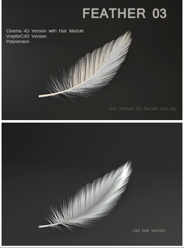 Feather 03