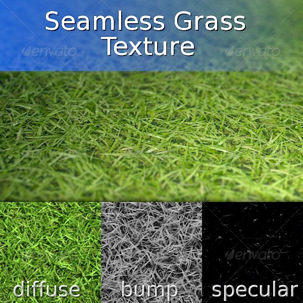 Grass Seamless Texture