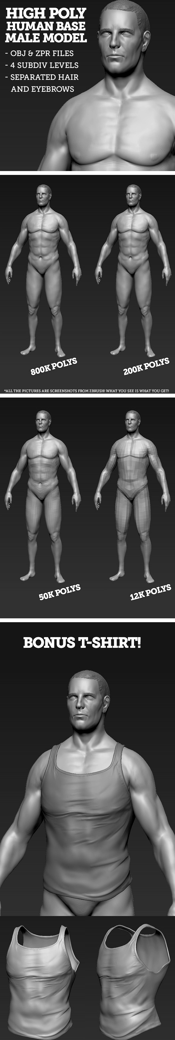 High Polygon Base Human Male Model