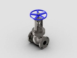 Globe Valve