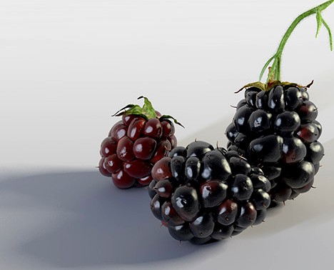 Blackberry