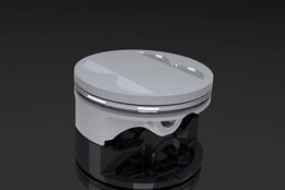 aprilla racing 250 piston