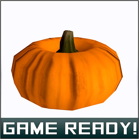 Autumn Pumpkin #6