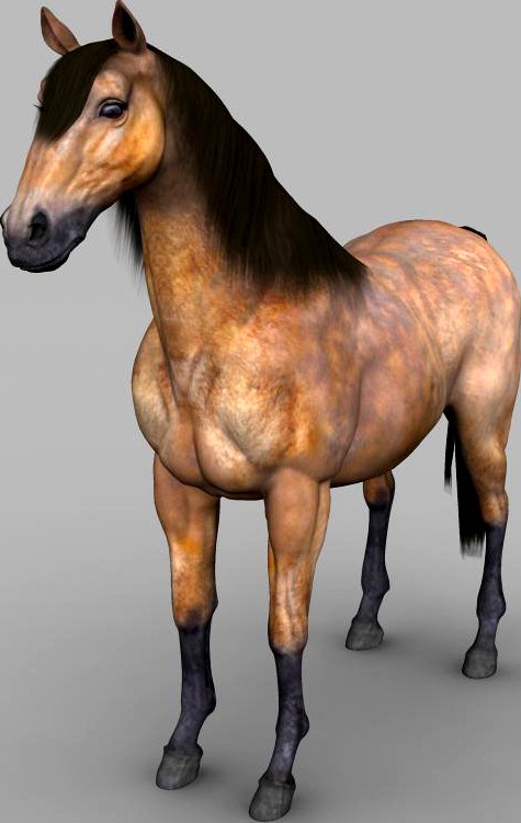 Realistic Muscular Horse