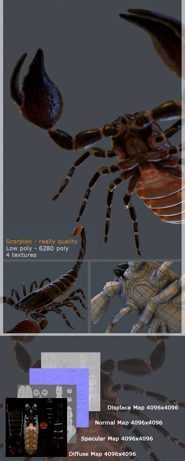 HQ low poly 3d model of scorpion for animation