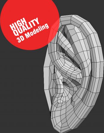 3D Ear 3D Model