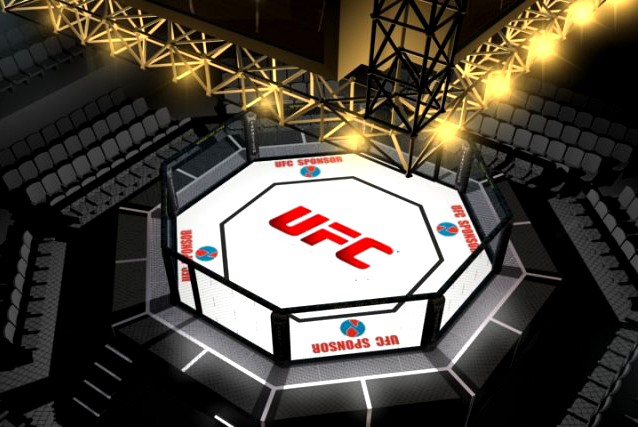 UFC Style Octagon Arena 3D Model