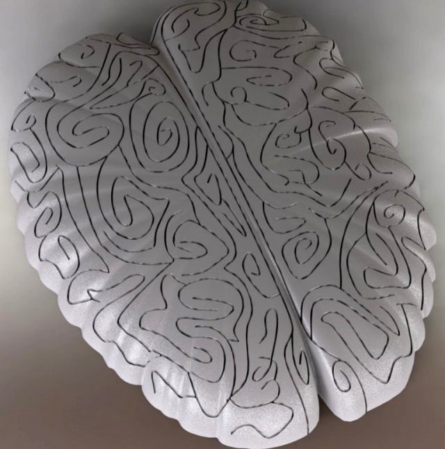Maze in the shape of the brain 3D Model