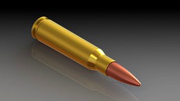 .308 Winchester (7,62x51) cartridge