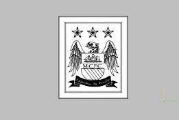 manchester city badge