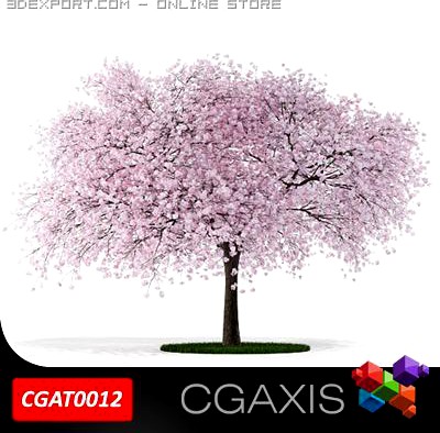 Flowering Tree CGAXIS tree 12 3D Model