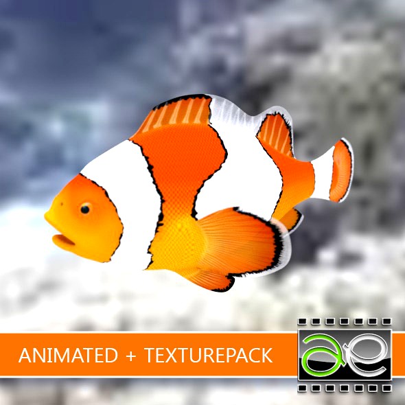 Animated Clownfish