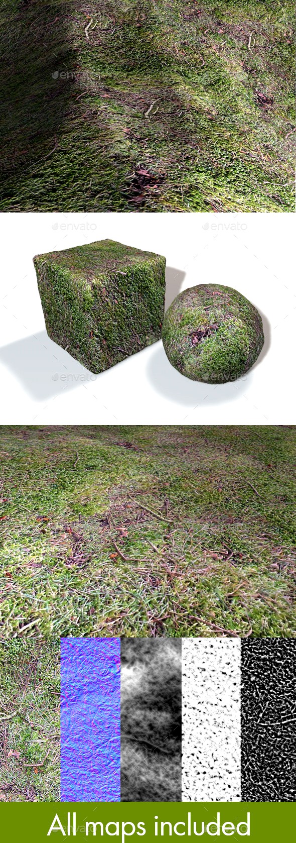 Seamless Moss Texture