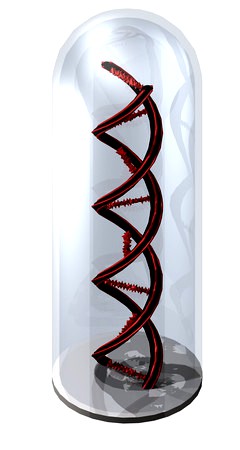 Robot DNA