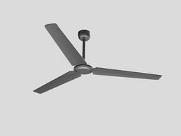 Ceiling fan