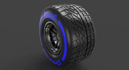 F1 2015 Tyre Wet 245/670-13 (Front RH)