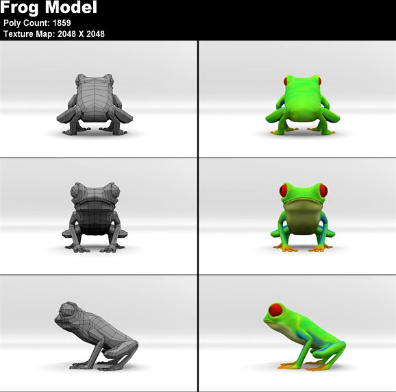Red Eyed Tree Frog Model