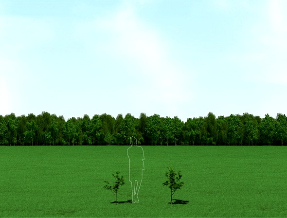 Blooming Tilia (Linden) Trees 3d Models