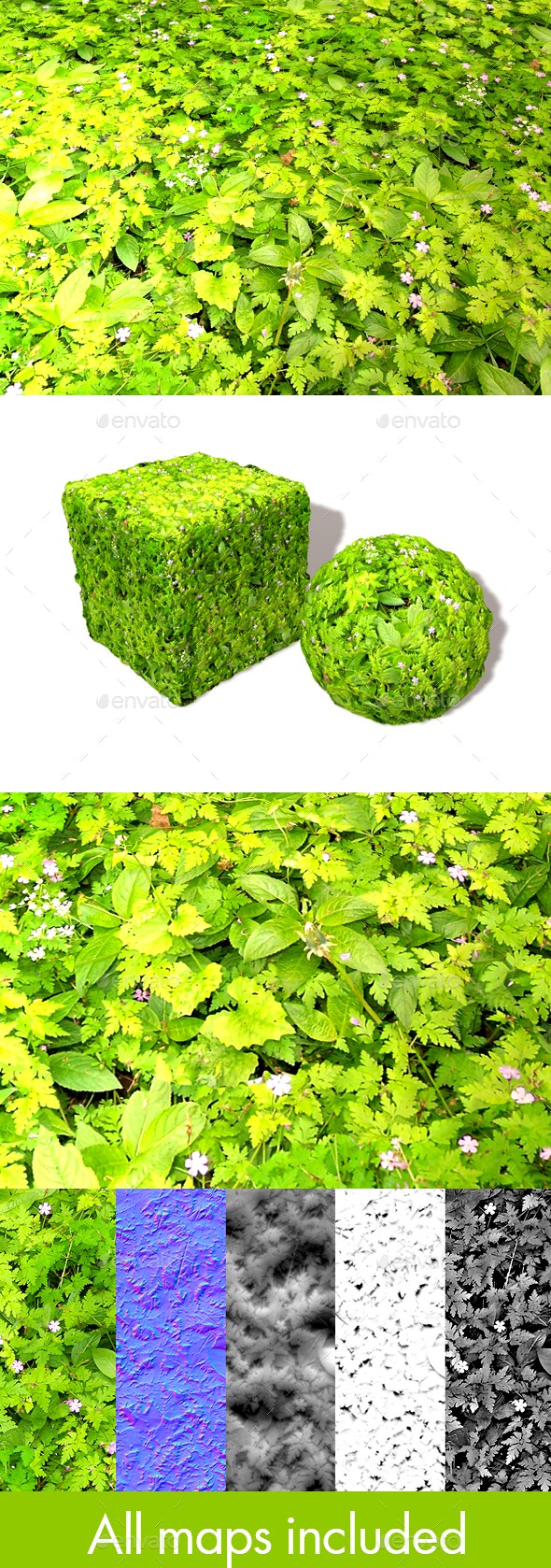 Ground Covering Plants Seamless Texture