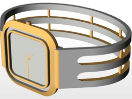 bangle watch