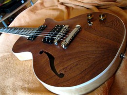 Les Paul Custom Project