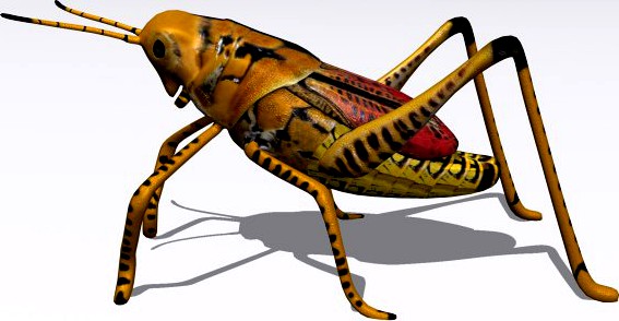 Grasshopper 3D Model