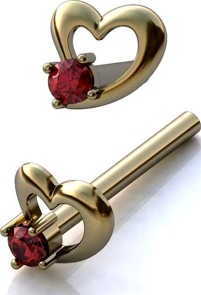 Earrings  i  024 3D Model