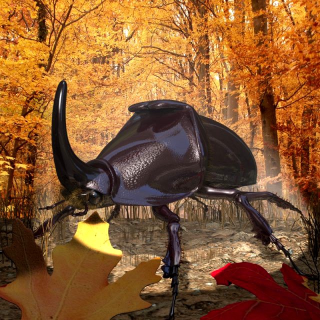 Rhinoceros Beetle RIGGED 3D Model